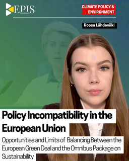 Policy Incompatibility in the European Union
