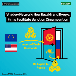 The Shadow Network