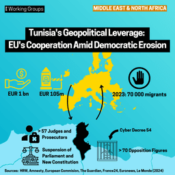 Tunisia’s Geopolitical Leverage