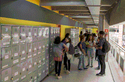 Safer Schools
