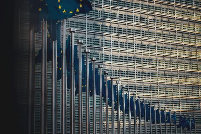 EU Enlargement Revisited