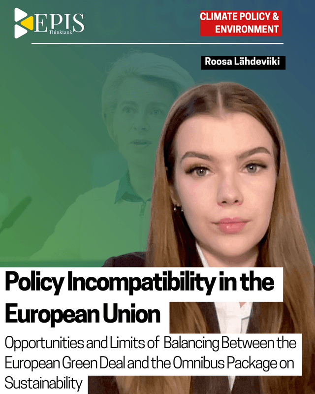 Policy Incompatibility in the European Union