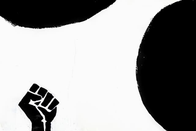 The Arab Springs in Yemen : A stolen revolution